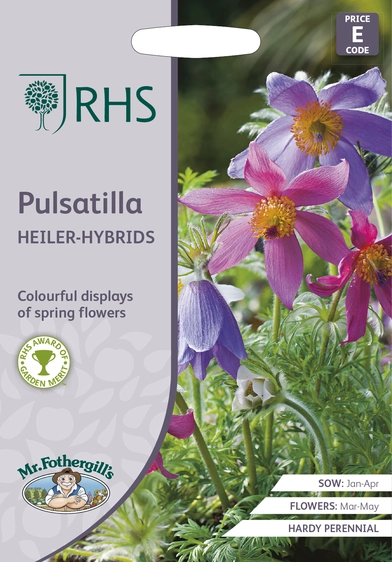 RHS Pulsatilla Heiler-Hybrids Seeds - image 1