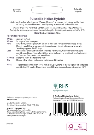 RHS Pulsatilla Heiler-Hybrids Seeds - image 2