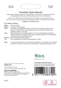 RHS Pulsatilla Heiler-Hybrids Seeds - image 2