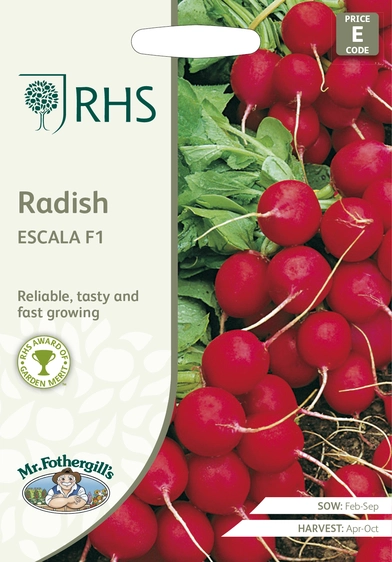 RHS Radish Escala F1 Seeds - image 1