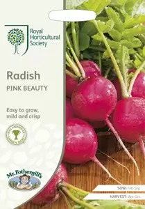 RHS Radish Pink Beauty - image 1