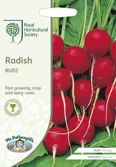 RHS Radish Rudi - image 1