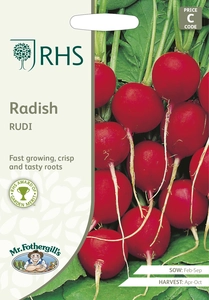 RHS Radish Rudi Seeds - image 1