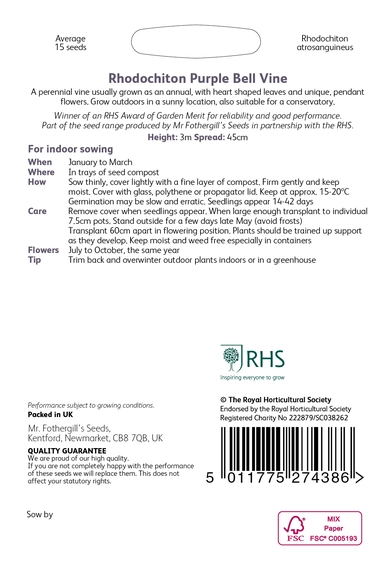 RHS Rhodochiton Purple Bell Vine Seeds - image 2