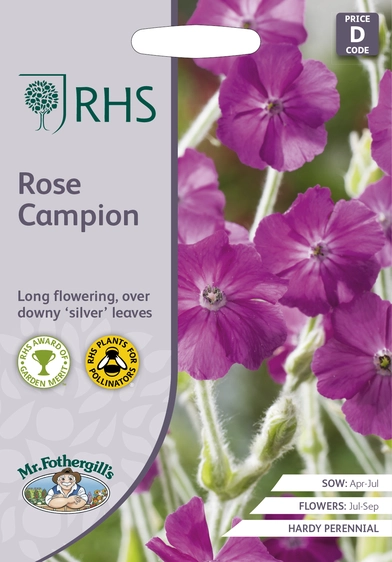 RHS Rose Campion Seeds - image 1