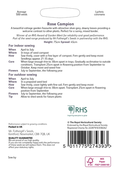 RHS Rose Campion Seeds - image 2