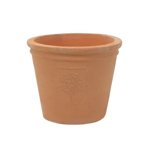RHS Rosemoor Pot Ø29cm