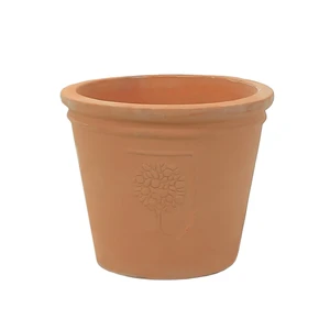 RHS Rosemoor Pot Ø29cm