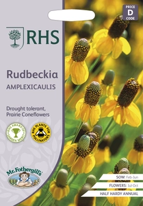 RHS Rudbeckia amplexicaulis Seeds - image 1