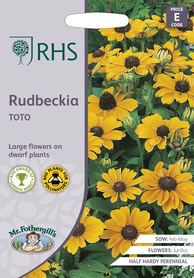 RHS Rudbeckia Toto Seeds - image 1