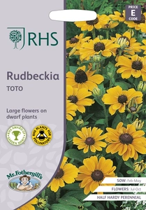 RHS Rudbeckia Toto Seeds