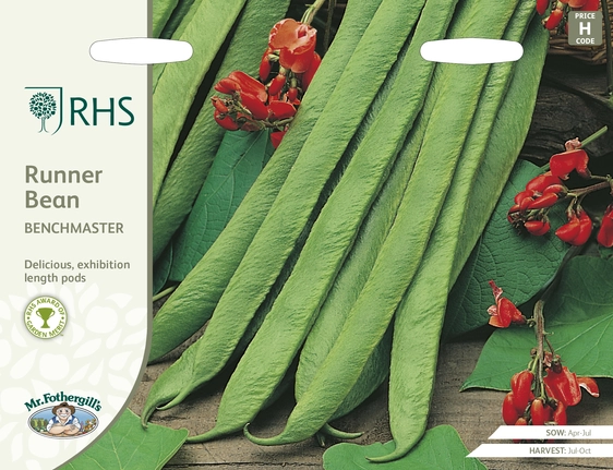 RHS Runner Bean Benchmaster Seeds - image 1