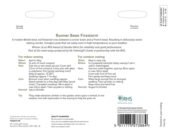 RHS Runner Bean Firestorm Seeds - image 2