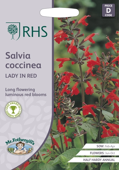 RHS Salvia coccinea Lady In Red Seeds - image 1