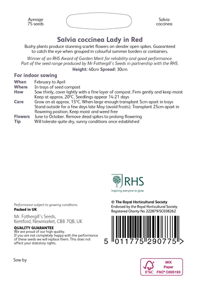 RHS Salvia coccinea Lady In Red Seeds - image 2