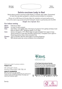 RHS Salvia coccinea Lady In Red Seeds - image 2