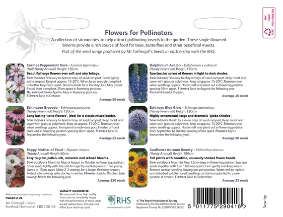 RHS Flowers For Pollinators Seed Collection - image 2