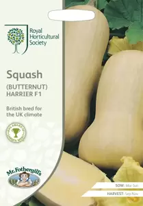 RHS Squash (Butternut) Harrier F1 - image 1