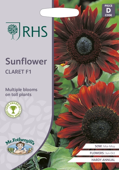 RHS Sunflower Claret F1 Seeds - image 1