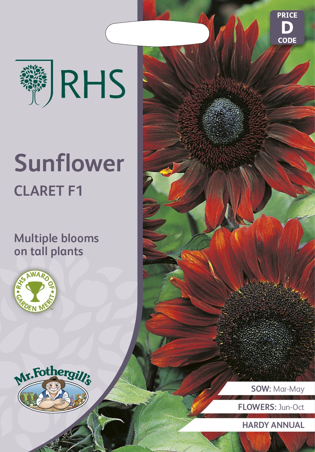 RHS Sunflower Claret F1 Seeds - Cowell's Garden Centre | Woolsington