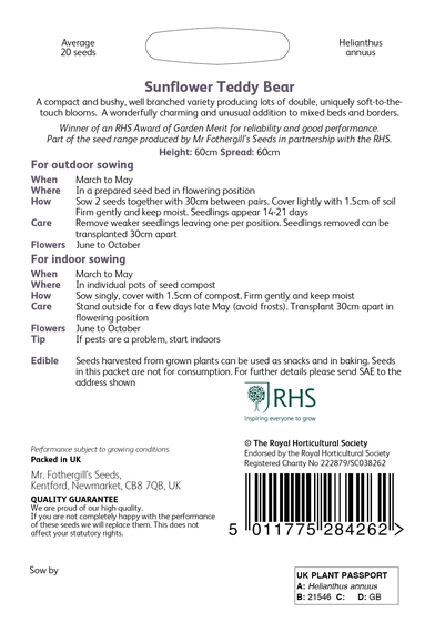 RHS Sunflower Teddy Bear Seeds - image 2