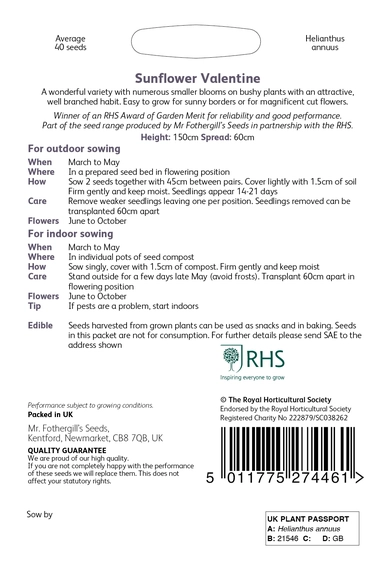 RHS Sunflower Valentine Seeds - image 2