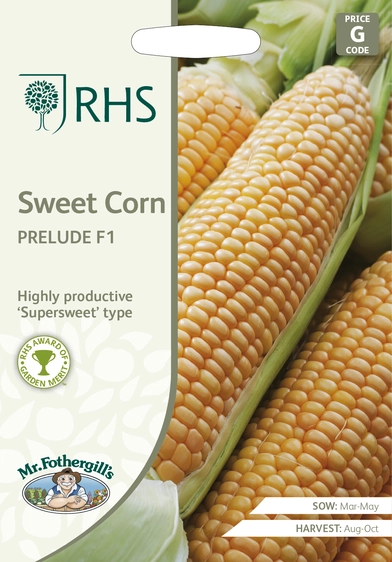 RHS Sweet Corn Prelude F1 Seeds - image 1