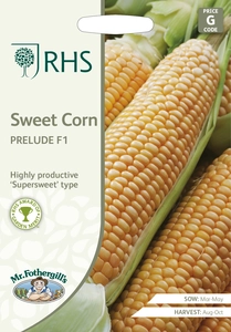 RHS Sweet Corn Prelude F1 Seeds - image 1