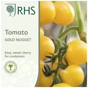 RHS Tomato Gold Nugget