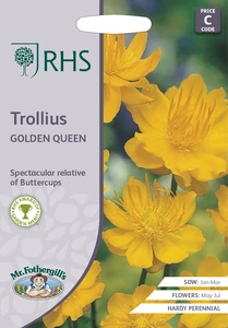 RHS Trollius Golden Queen Seeds - image 1
