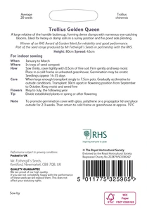 RHS Trollius Golden Queen Seeds - image 2