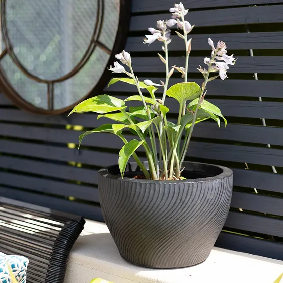 Ripple Low Bowl Planter Ø28cm - image 1