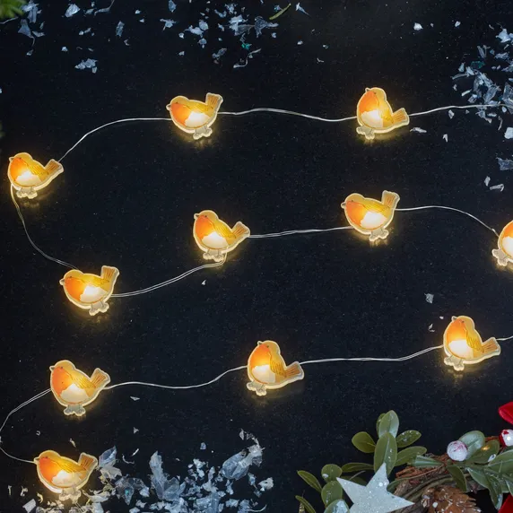 Robin String Lights