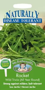 Rocket Wild Trizia (All Year Round)