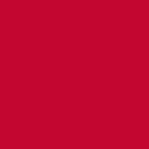 Ronseal Garden Paint Moroccan Red 750ml - image 2