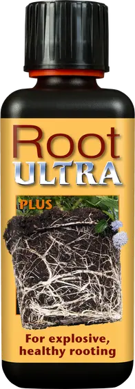 Root Ultra - image 1