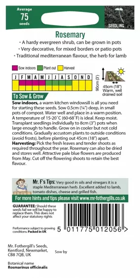 Rosemary - image 2
