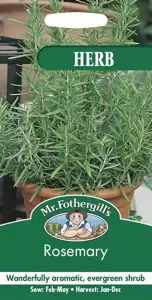 Rosemary - image 2