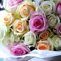 Roses by Colour