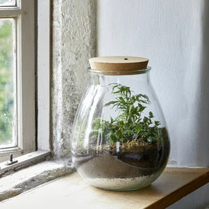 Rounded LED Terrarium Jar Ø19cm - image 2