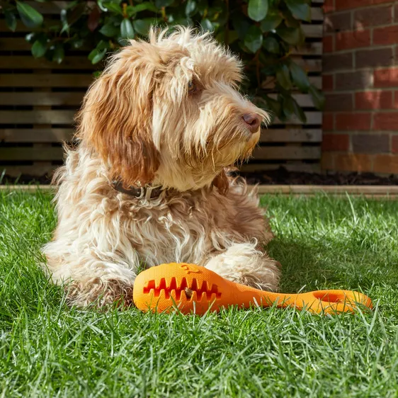 Rubber Treat Dispensing Fetch Toy - image 1