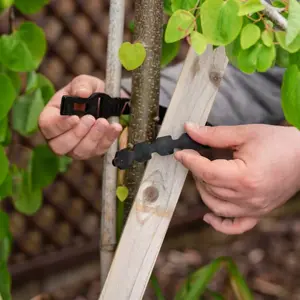 Rubber Tree Tie - 40cm - image 1