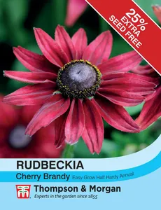 Rudbeckia Cherry Brandy - image 1