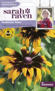 Rudbeckia Aries - image 1