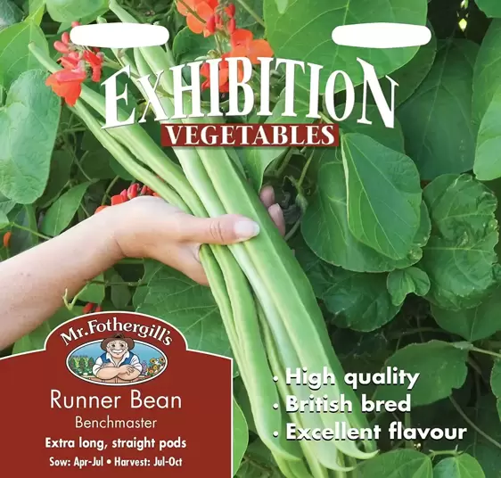 Runner Bean Benchmaster - image 1