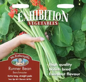 Runner Bean Benchmaster - image 1