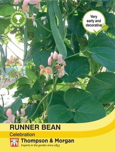 Runner Bean Celebration - image 1