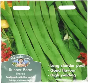 Runner Bean Enorma - image 2