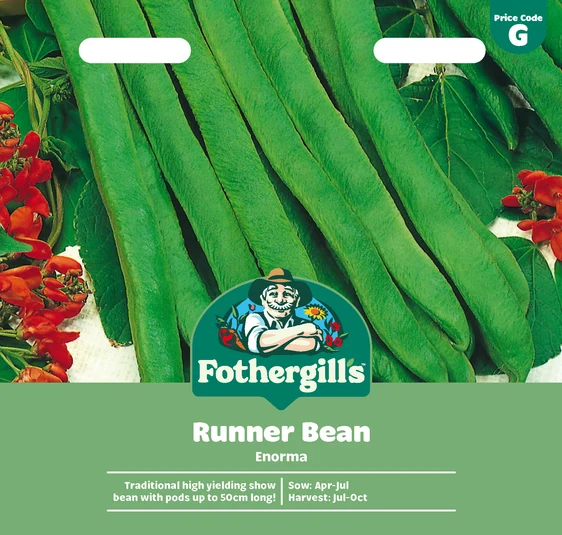 Runner Bean Enorma
