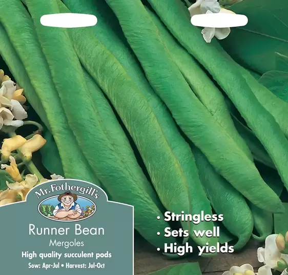 Runner Bean Mergoles - image 1